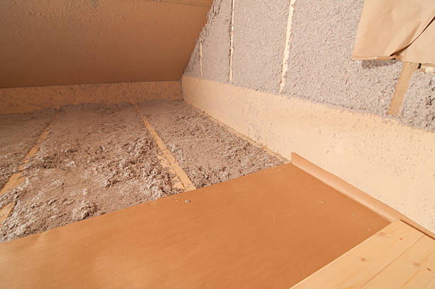 Best Insulation Installation Services in Minneola, FL